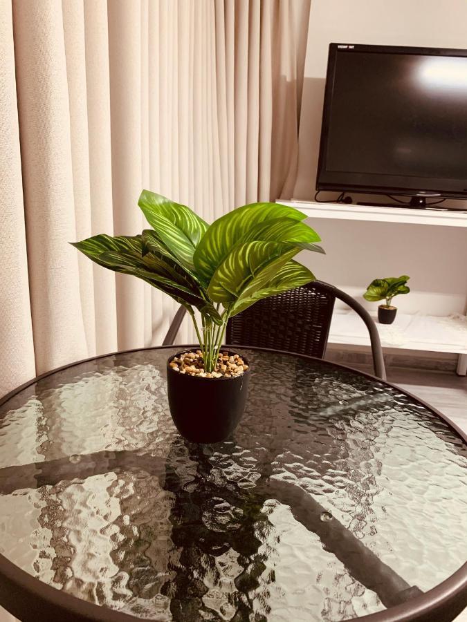 מיאר אירוח דרוזי Appartement Maghār Buitenkant foto